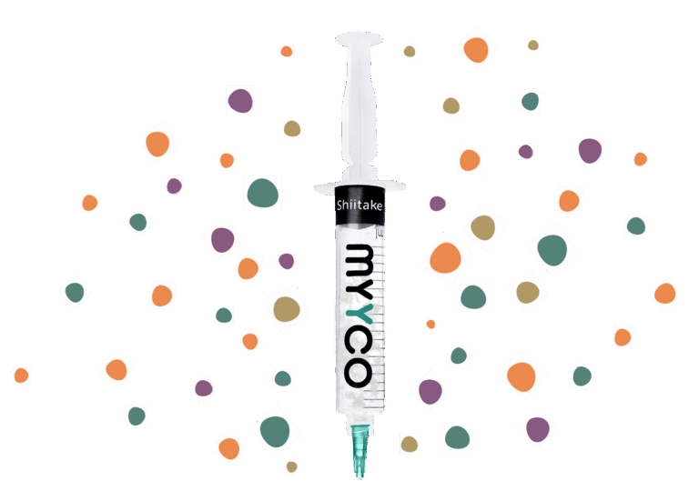 MYYCO Liquid Culture 768x529